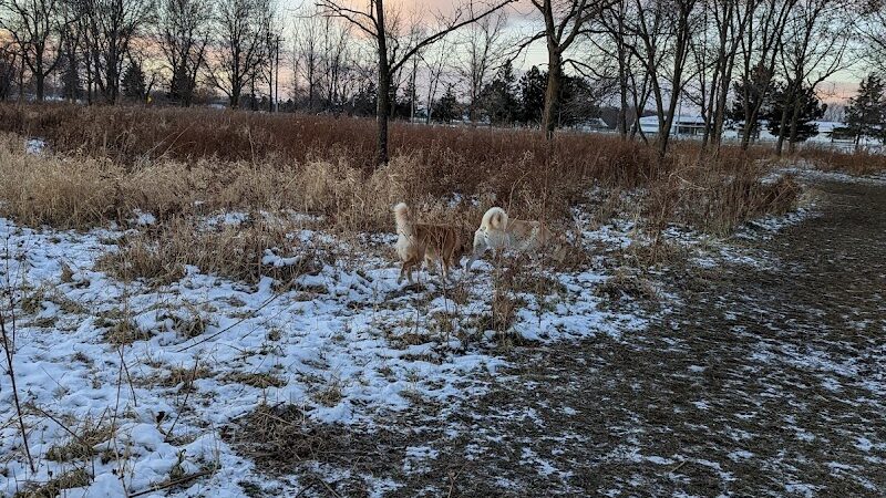Best Friends Dog Park - Oshkosh, WI