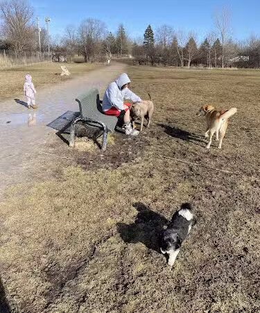 Best Friends Dog Park - Oshkosh, WI
