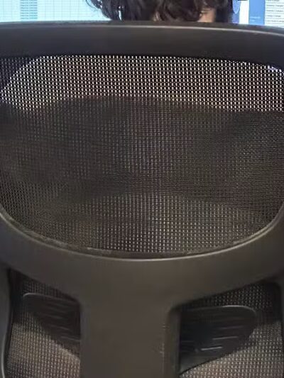 Greater Hillsdale Humane Society - Osseo,