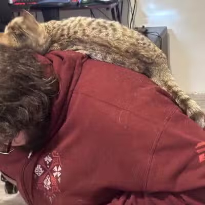 Greater Hillsdale Humane Society - Osseo,