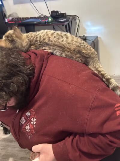 Greater Hillsdale Humane Society - Osseo,