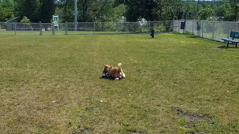 Oswego Dog Park - Oswego, NY