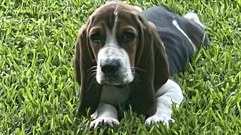 Osyka Veterans Park - Osyka, MS