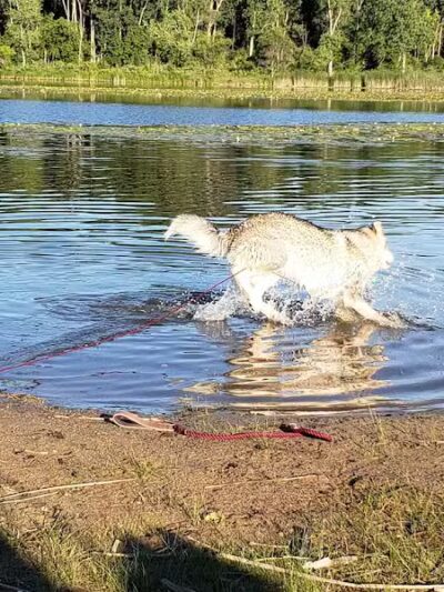 Griswold Park - Otisville,