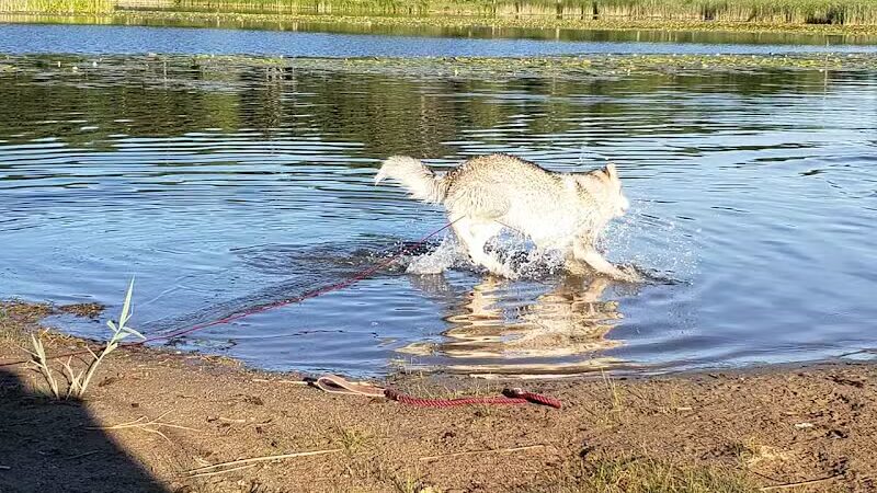 Griswold Park - Otisville,