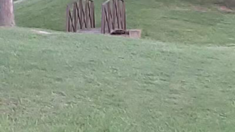 Griswold Park - Otisville,