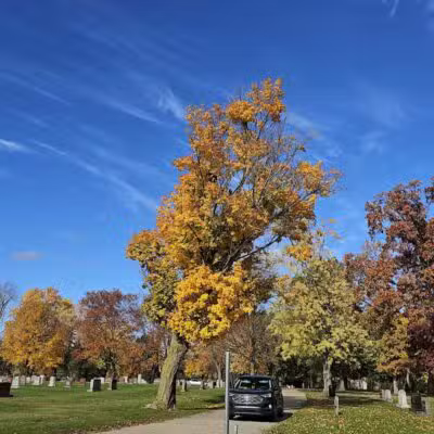 Memorial Park - Otsego,