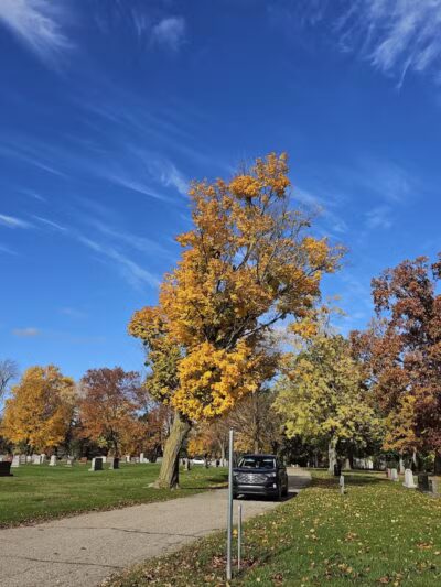 Memorial Park - Otsego,