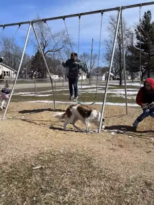 Memorial Park - Otsego,