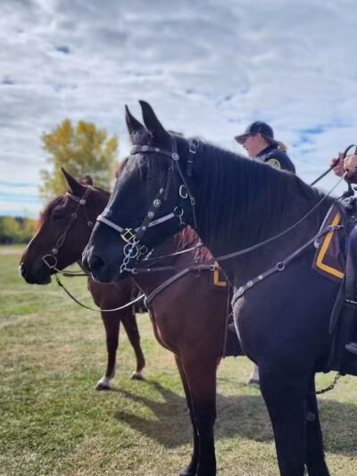 Whiteford Township Community Park - Ottawa Lake,