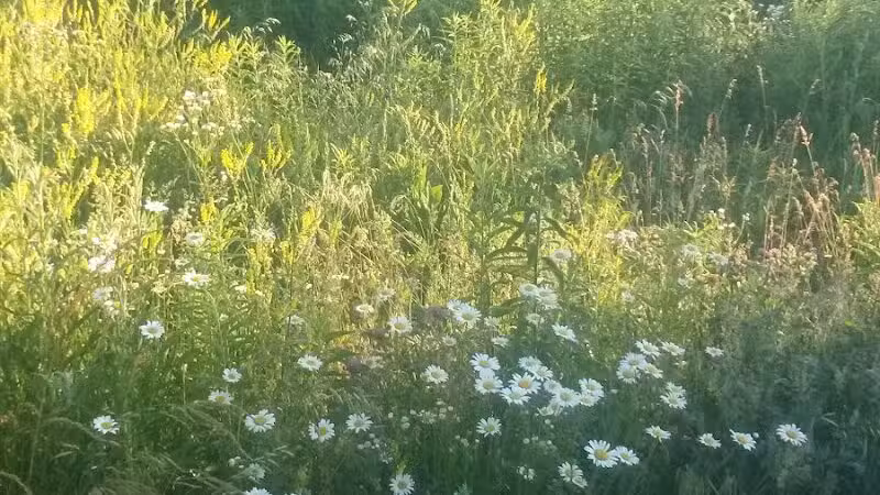 Whiteford Township Community Park - Ottawa Lake,