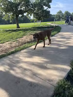 Stoll Off-Leash Dog Park - Overland Park, KS