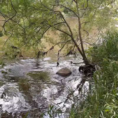 Harmon Patridge Park - Owosso, MI