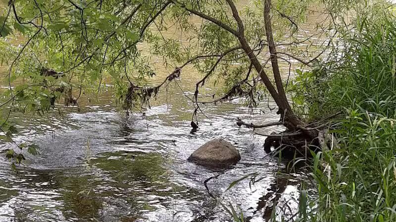 Harmon Patridge Park - Owosso, MI