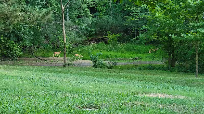 Harmon Patridge Park - Owosso, MI