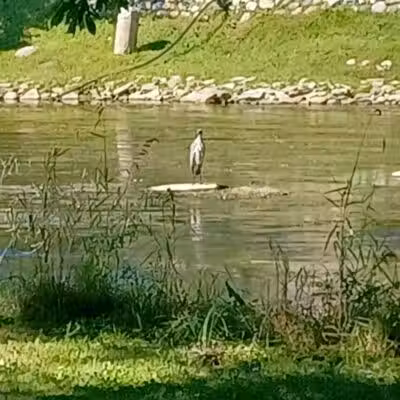 Harmon Patridge Park - Owosso, MI