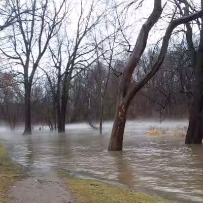 Harmon Patridge Park - Owosso, MI