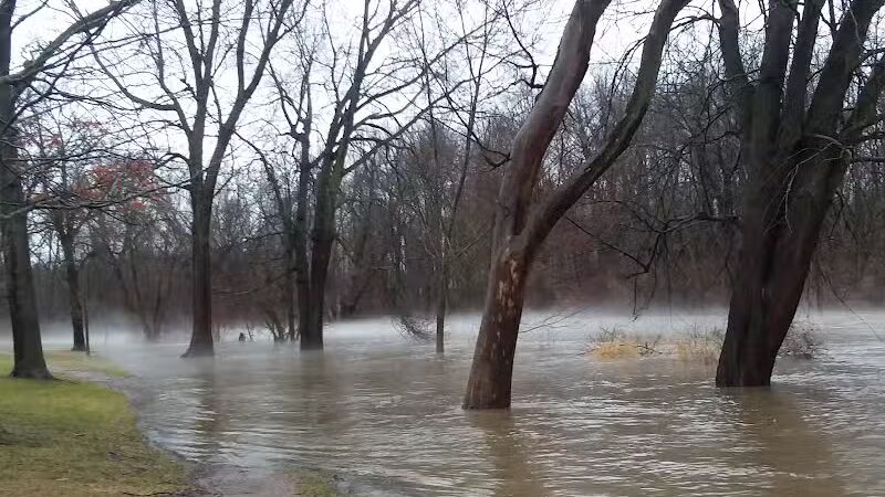Harmon Patridge Park - Owosso, MI