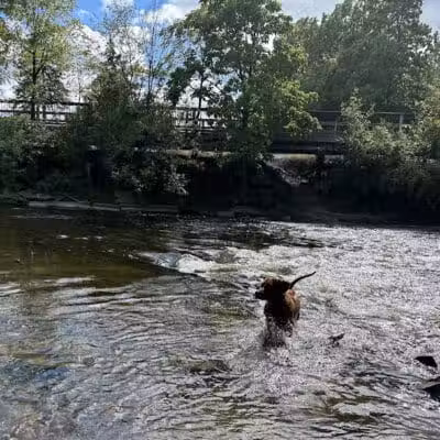Kiwanis Park - Owosso, MI