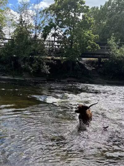 Kiwanis Park - Owosso, MI