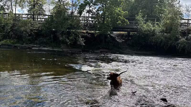 Kiwanis Park - Owosso, MI