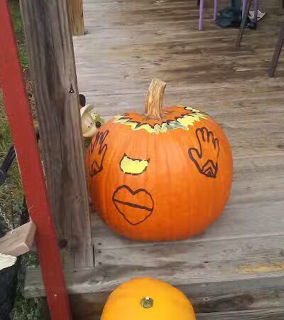 Kiwanis Park - Owosso, MI