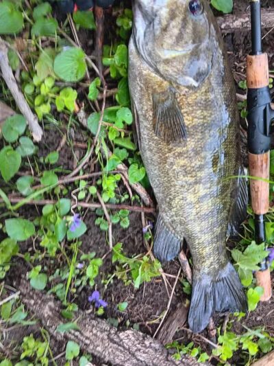 Kiwanis Park - Owosso, MI