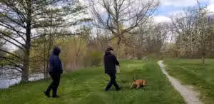 Harmon Patridge Park - Owosso, MI