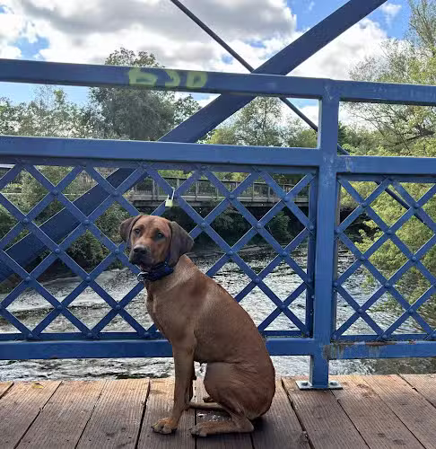 Kiwanis Park - Owosso, MI
