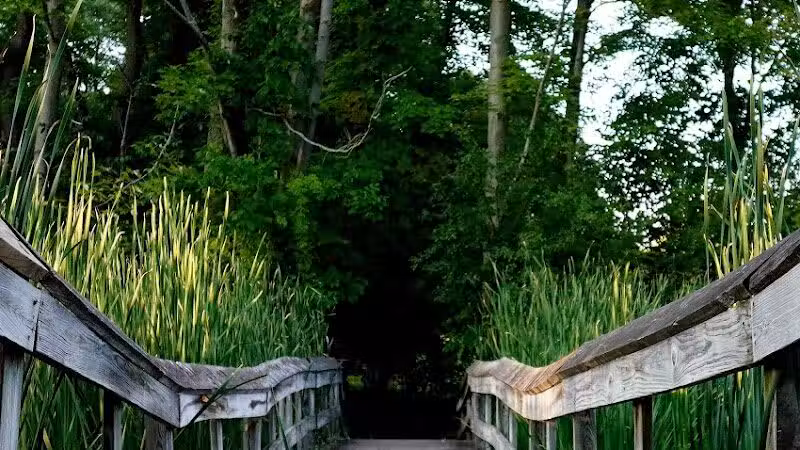 Owosso Bark Park - Owosso, MI