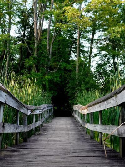 Owosso Bark Park - Owosso, MI