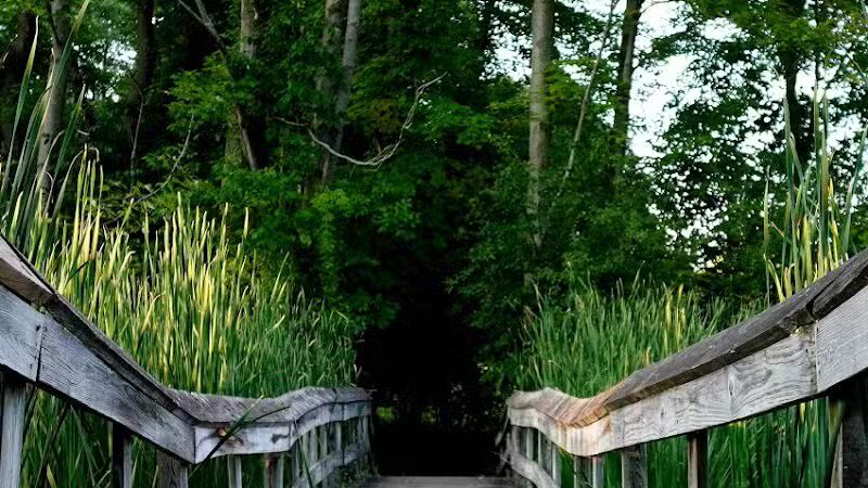 Owosso Bark Park - Owosso, MI