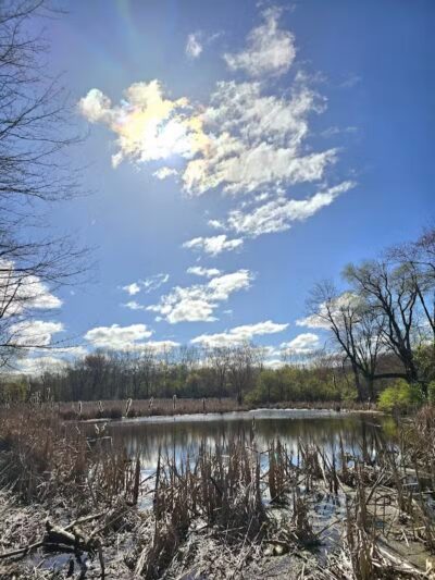 Owosso Bark Park - Owosso, MI