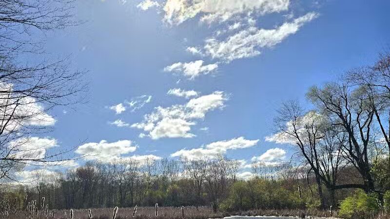 Owosso Bark Park - Owosso, MI