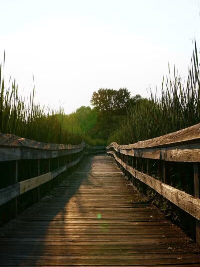 Owosso Bark Park - Owosso, MI
