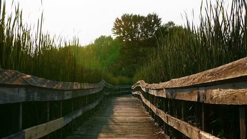 Owosso Bark Park - Owosso, MI