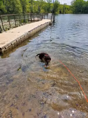Stony Lake Park - Oxford, MI