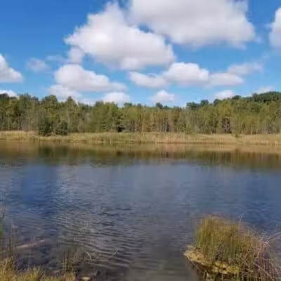 Oakwood Lake Township Park - Oxford, MI