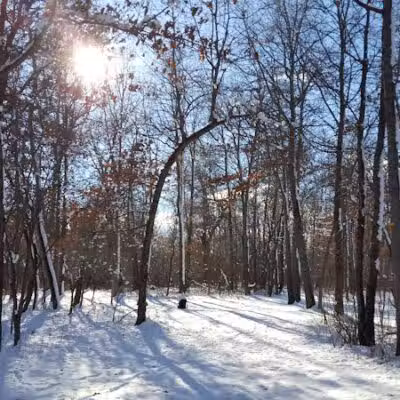 Oakwood Lake Township Park - Oxford, MI