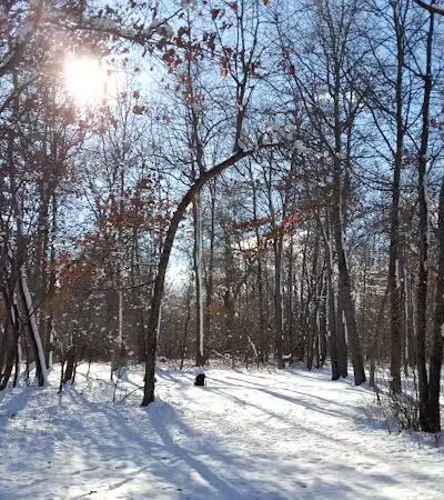 Oakwood Lake Township Park - Oxford, MI