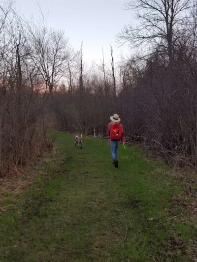 Oakwood Lake Township Park - Oxford, MI