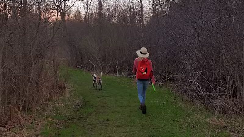 Oakwood Lake Township Park - Oxford, MI