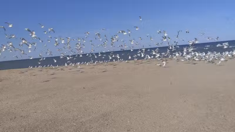 Powell Lake Township Park - Oxford, MI