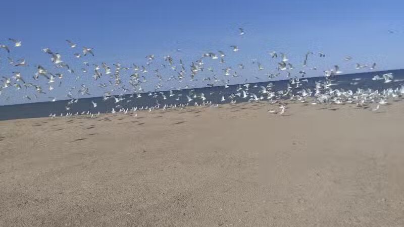Powell Lake Township Park - Oxford, MI