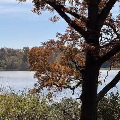 Powell Lake Township Park - Oxford, MI