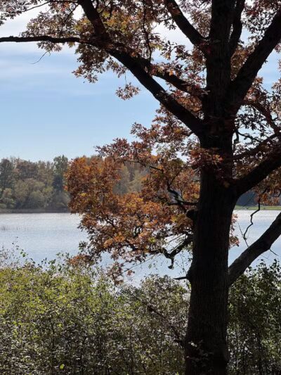 Powell Lake Township Park - Oxford, MI