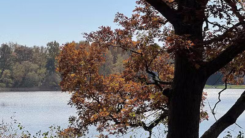 Powell Lake Township Park - Oxford, MI