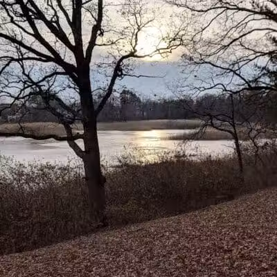 Powell Lake Township Park - Oxford, MI