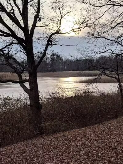 Powell Lake Township Park - Oxford, MI