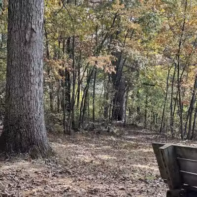 Powell Lake Township Park - Oxford, MI